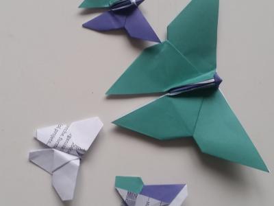 origami papillon.jpeg