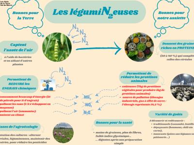 les-legumineuses-panneau-atvb-10-24.png