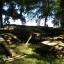dscn5031.jpg