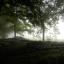 dscn5025.jpg