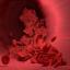 red-blood-cells-4256710-1280.jpg