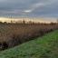 img-20250104-wa0024.jpg