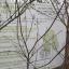 img-20250104-wa0025.jpg
