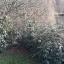 img-20250104-wa0017.jpg