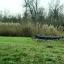img-20250104-wa0019.jpg