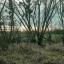 img-20250104-wa0026.jpg