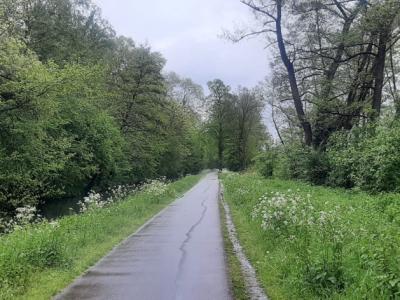 canal-bruche-2024-04-20-a-191543.jpg