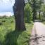 canal-bruche-2024-04-20-a-191544.jpg