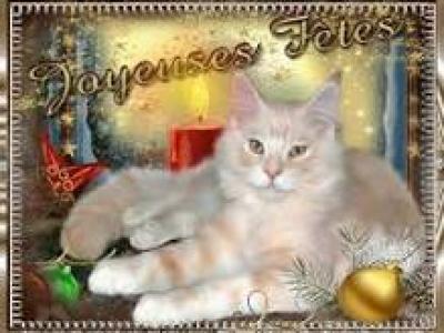 chat-des-fetes.jpg