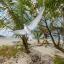 16-2-18-201520seychelles-tern-flight_94162_990x742.jpg